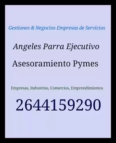 ASESOR DE MICRO PYMES Y PYMES EMPRESAS