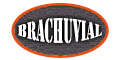 Brachuvial