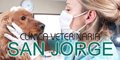 Clinica Veterinaria San Jorge