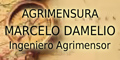 Damelio Marcelo Agrimensor Estudio de Agrimensura