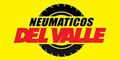 Del Valle Neumaticos