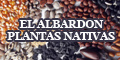 El Albardon - Plantas Nativas