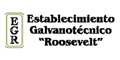 Establecimiento Galvanoplastico Roosevelt