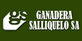 Ganadera Salliquelo SA