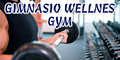 Gimnasio Wellnes - Gym