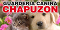 Guarderia Canina Chapuzon