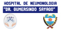 Hospital de Neumonologia Dr Gumersindo Sayago