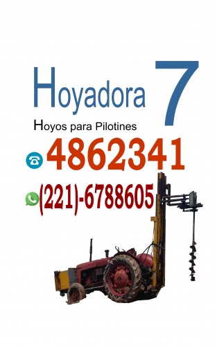 HOYADORA 7