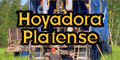 Hoyadora Platense