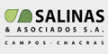 Inmobiliaria Salinas y Asociados SA