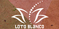 Loto Blanco