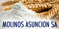 Molinos Asuncion SA