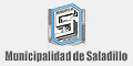 Municipalidad de Saladillo