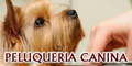 Peluqueria Canina