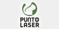 Punto Laser