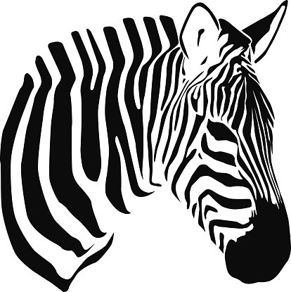 RADIADORES ZEBRA