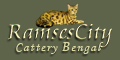 Ramsescity - Cats Bengal