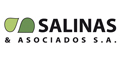 Salinas y Asociados SA