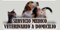 Servicio Medico Veterinario a Domicilio