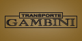 Transporte Gambini - Nacional e Internacional