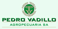 Vadillo Pedro Agropecuaria SA