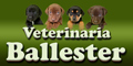 Veterinaria Ballester