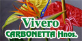 Vivero Carbonetta Hnos