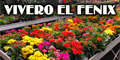 Vivero el Fenix